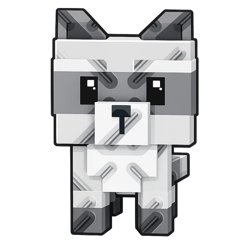 Raccoon